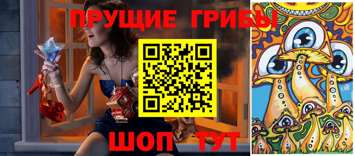 Псилоцибиновые грибы Cubensis Дубна