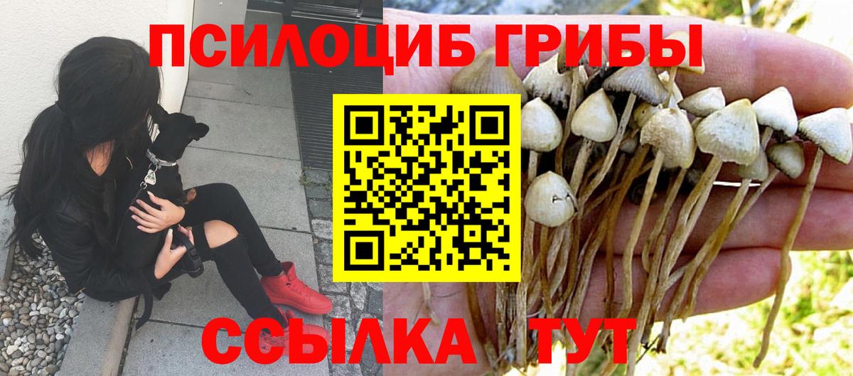 Галлюциногенные грибы прущие грибы  Галлюциногенные грибы прущие грибы  Дубна  Вход с VPN 